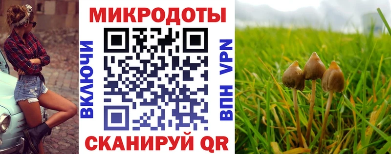дарк нет телеграм  Котельники  Псилоцибиновые грибы прущие грибы 