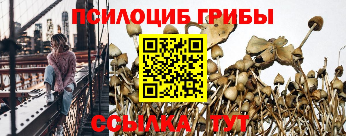 Псилоцибиновые грибы Magic Shrooms  хочу наркоту  Котельники  Вход с VPN 